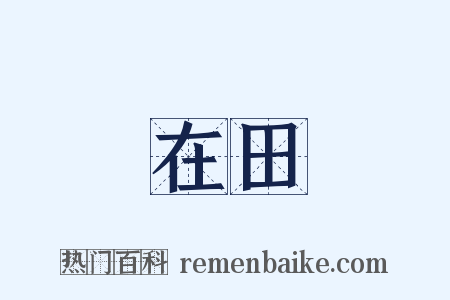 在田是什么意思的图片